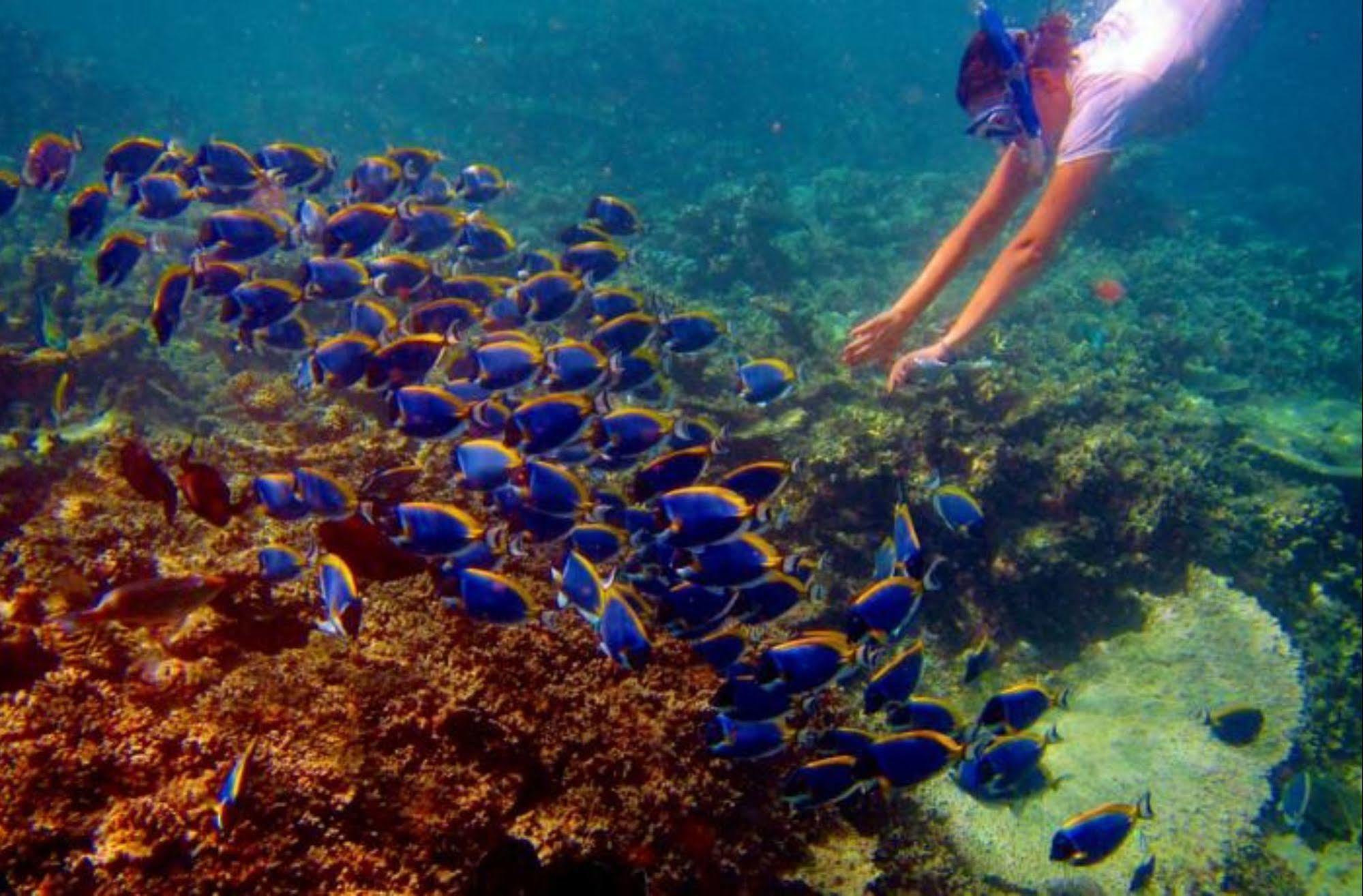 Hotel Octave Maldives Male Zewnętrze zdjęcie